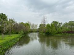 -溱湖国家湿地公园