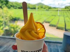 -雪绿茶博物馆