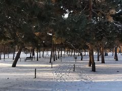 -北陵公园