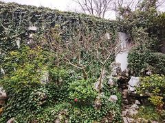 -南京市民俗博物馆(甘熙故居)