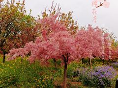 -古柏渡飞黄旅游区