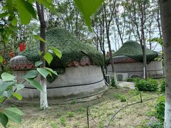 -草根堂农场