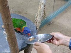 -上海大自然野生昆虫馆(东方明珠·爬宠昆虫探索中心)