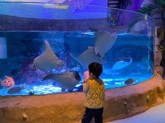 -沈阳海洋探索中心