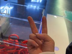 -极限PLAY运动娱乐新世界·团建派对潮玩休闲馆·室内蹦极高空游乐园