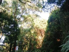 -广州市帽峰山景区