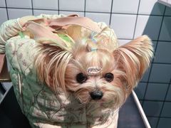 -耍盆友·重庆江湖菜(百子湾店)