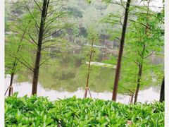 -重庆彩云湖湿地公园