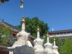 -西安市广仁寺