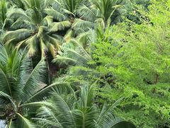 -海南清水湾莱佛士酒店