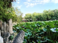 -莲池书院博物馆