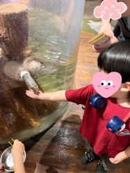 -Zoolung Zoolung动物主题公园(海信广场店)