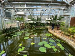 -国家植物园南园