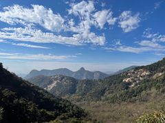 -鲁山国家森林公园
