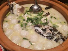 姜君千岛湖鱼头-姜君·千岛湖鱼头馆(浦东大道店)
