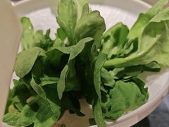 -百草滩羊清水涮羊肉·清真·宁夏盐池滩羊(莲花桥店)