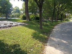-上海鲜花港