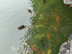 -团结湖公园