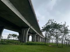 -滨海公园