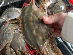 -白沙洲农产品大市场海鲜交易区