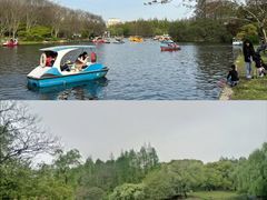 -上海共青森林公园