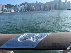 -大红袍火锅料理(尖沙咀店)