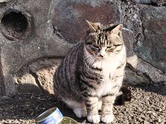 -中国第四纪冰川遗迹陈列馆