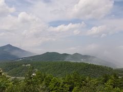 -武陵山森林公园