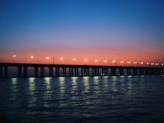 -宝安西湾红树林湿地公园