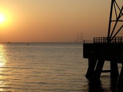 -宝安西湾红树林湿地公园