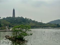 -顺峰山公园