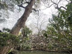 -绮园景区