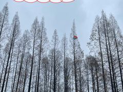 -中山公园