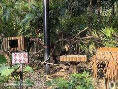 -广州长隆旅游度假区