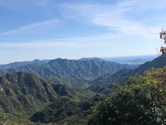 -大岭沟猕猴桃谷风景区