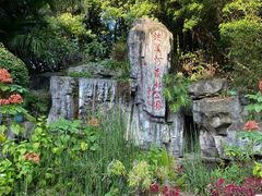 -广州市流溪河国家森林公园