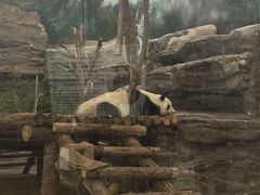 -鄂尔多斯野生动物园