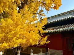 -阳台山自然风景区