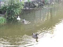 -家琳甜品(江南东店)