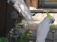 -秦皇岛野生动物园