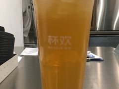 千杯不醉啤酒金凤-杯欢制茶(三里屯店)