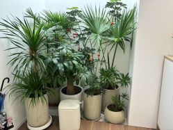 -妈妈时光机医疗产后修复(南山茂业百货店)