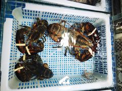 -霞涌市场海鲜摆卖区