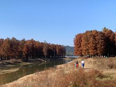 -四明湖