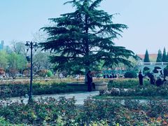景点-睦南公园