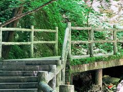 -牛背梁国家森林公园