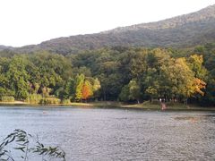 -紫霞湖公园