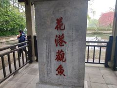 -西湖游船