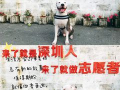 -深圳湾创业广场