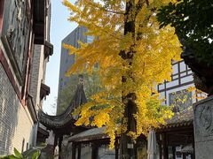 -龙潭水乡